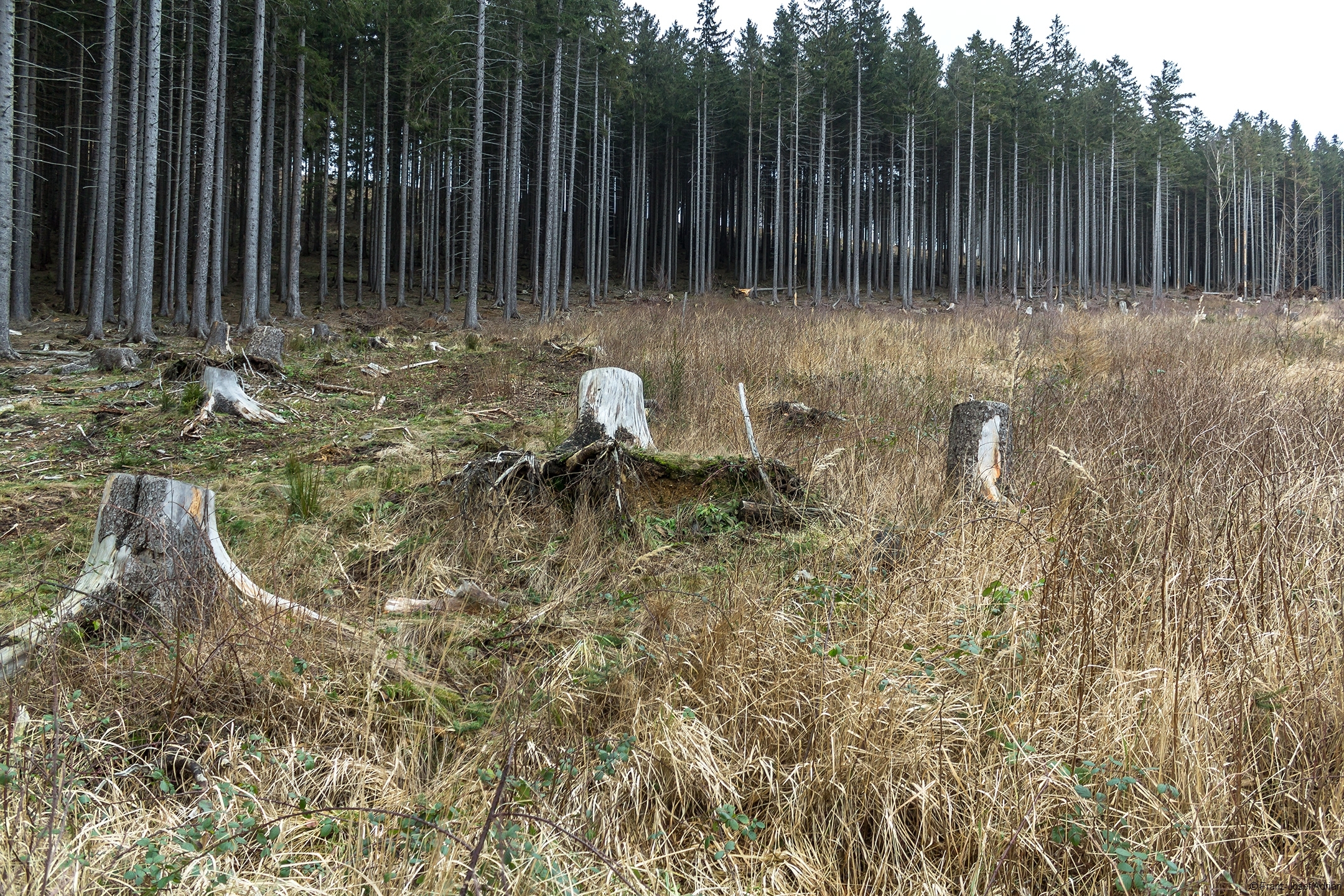 Plessenburg_04