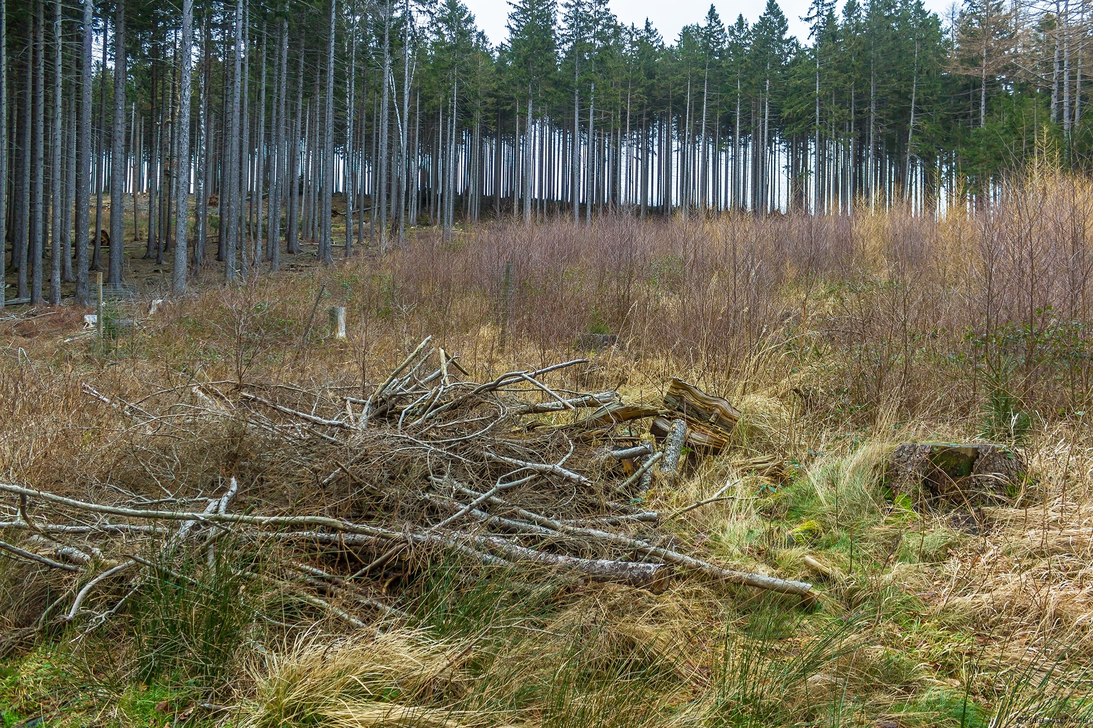 Plessenburg_07