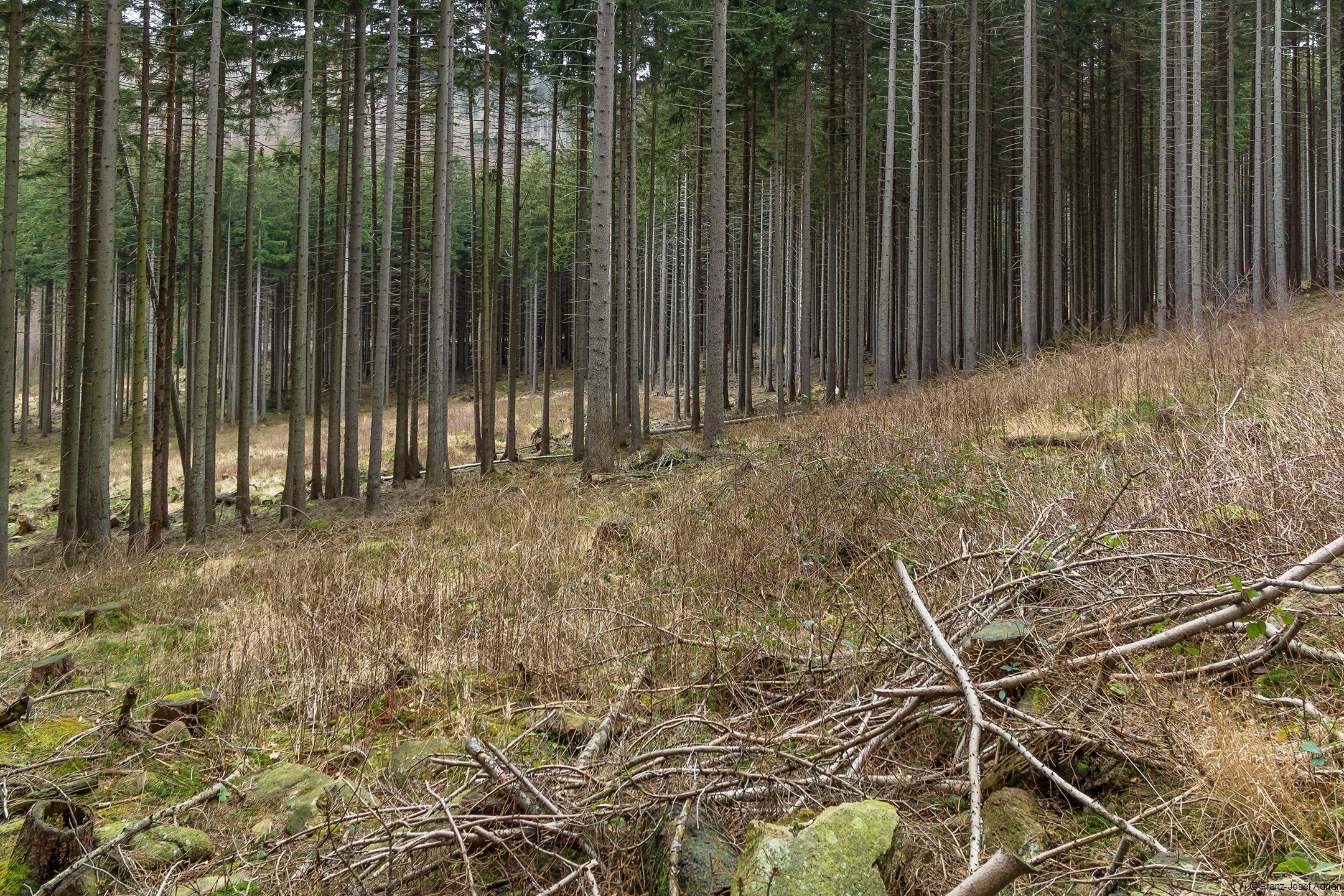 Plessenburg_10