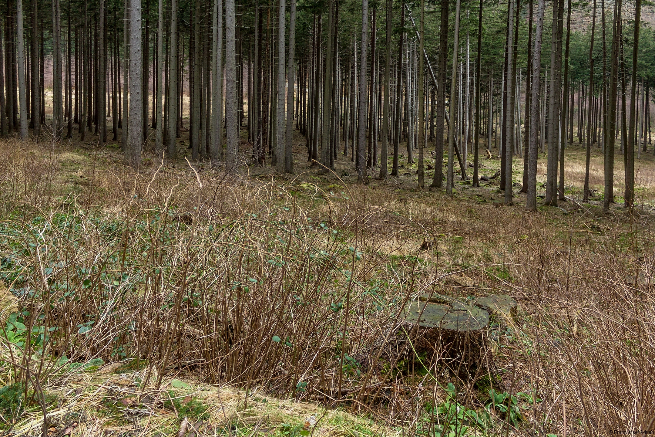 Plessenburg_11