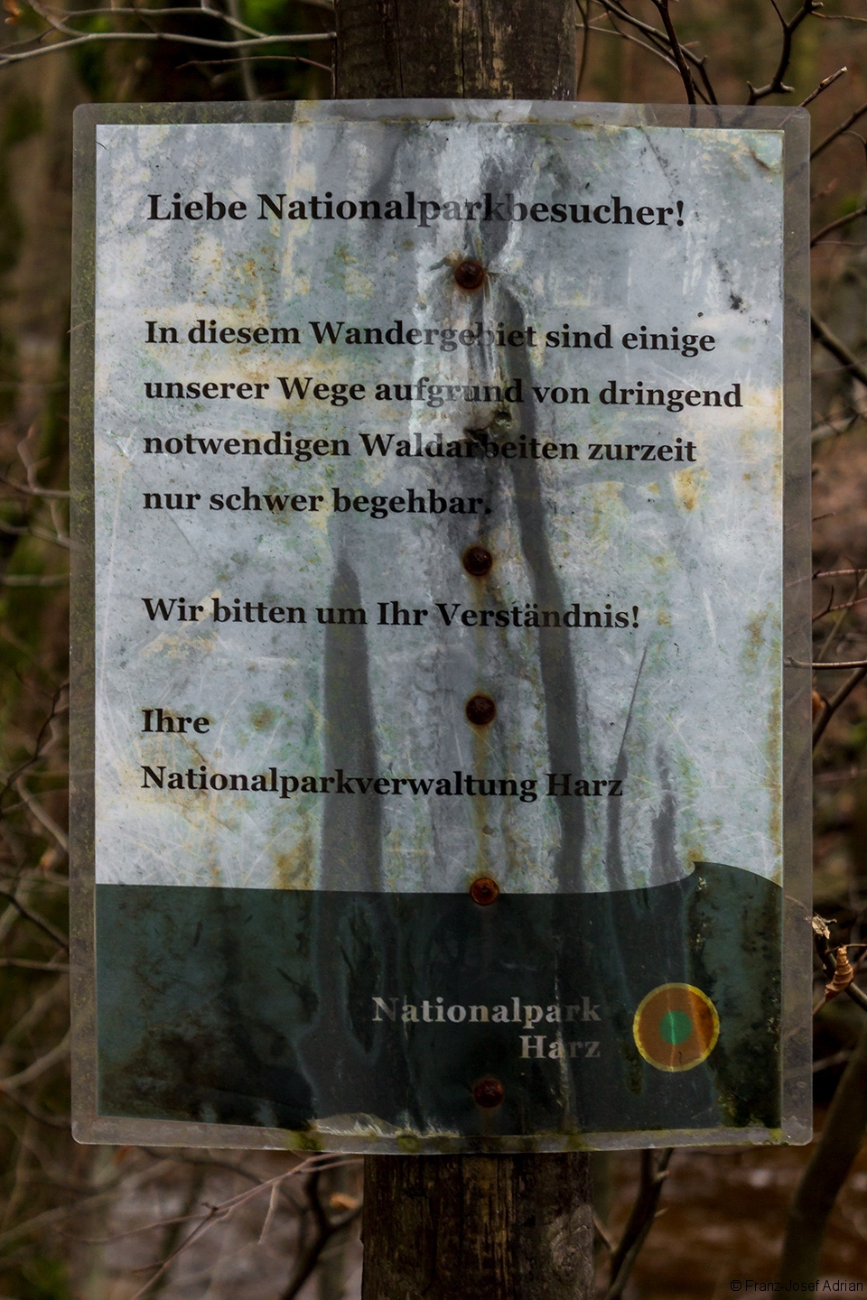 Waldarbeiten