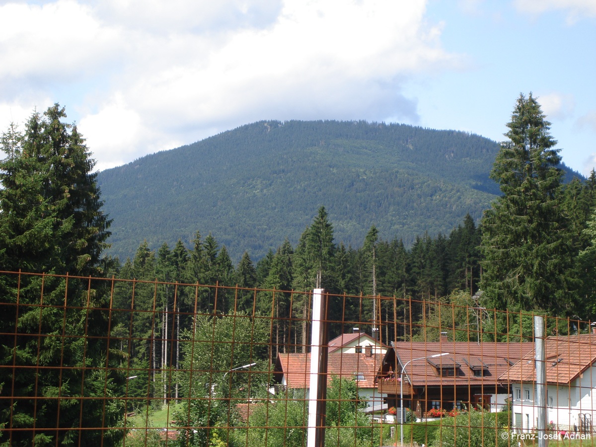 Falkenstein-18