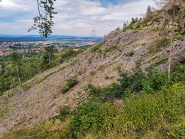 Ilsenburg_Landeswald-HD-3