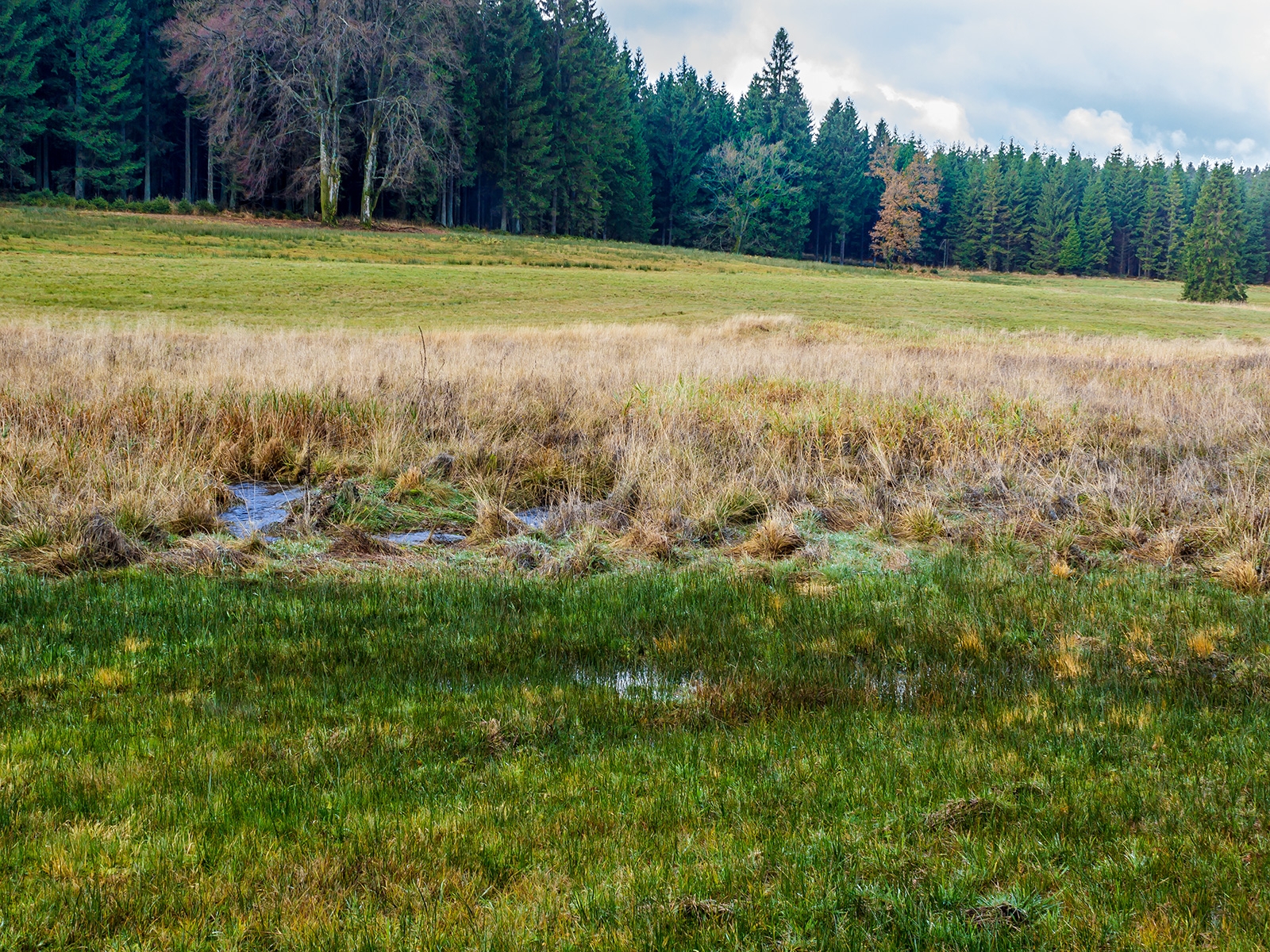 "Bachrenaturierung" am oberen Fuhrtsbachtal