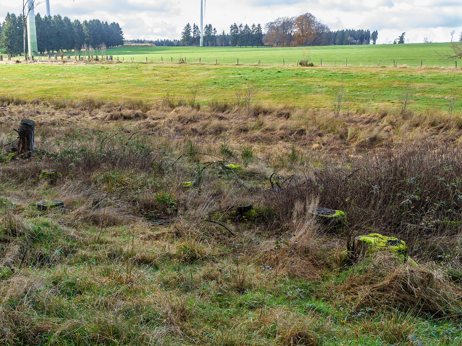 "Bachrenaturierung" am oberen Fuhrtsbachtal