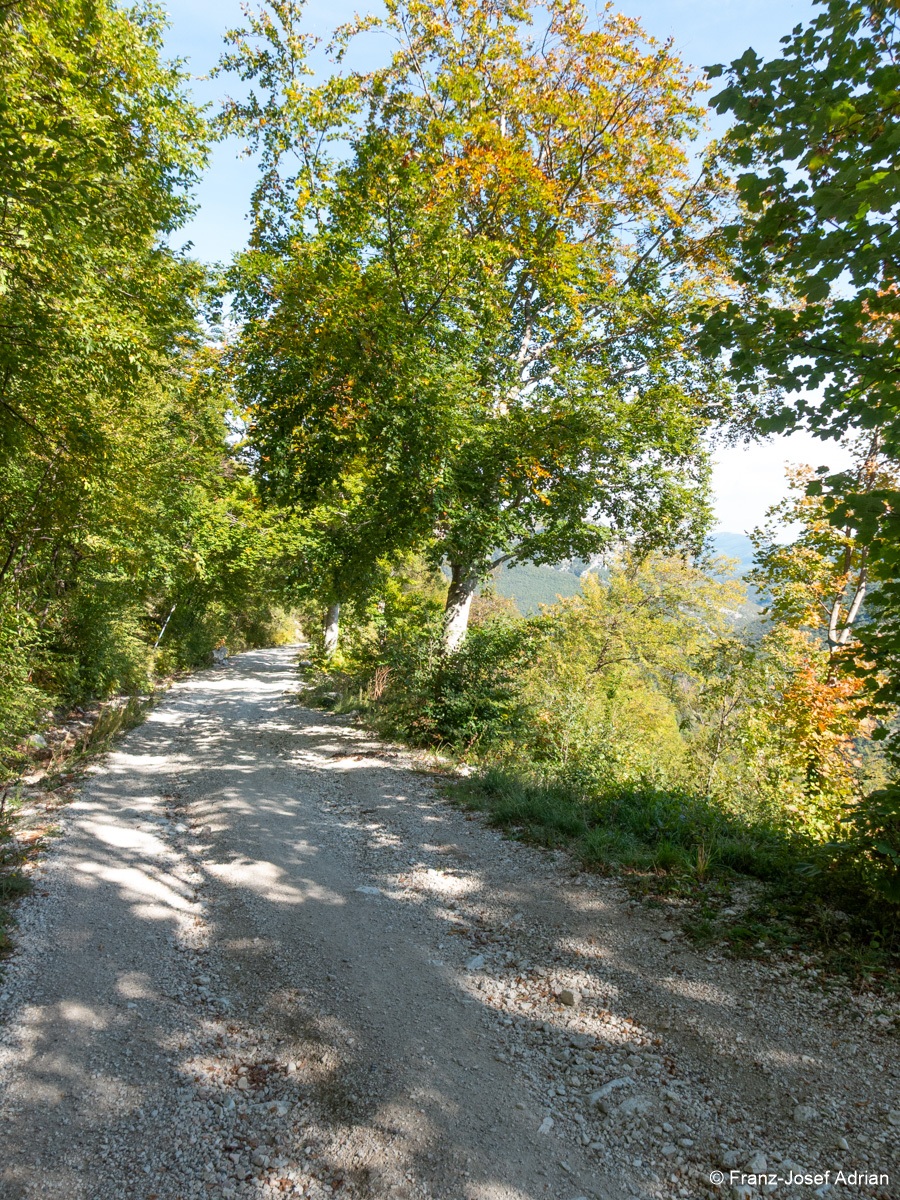 Buchen_Fonte_Avellana-7
