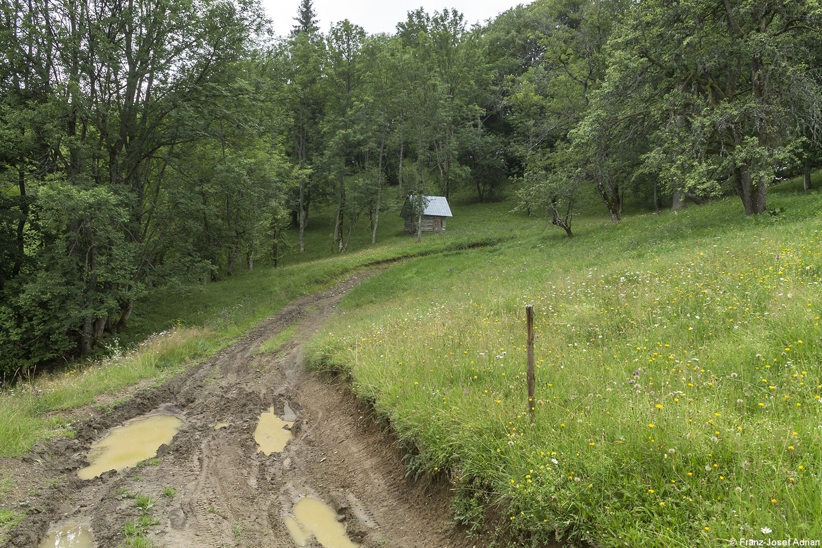 Fontynyasy_05