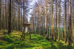 Hochsitz an der Corneliaklippe, Blickrichtung Norden