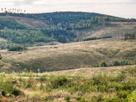 Sauerland-1