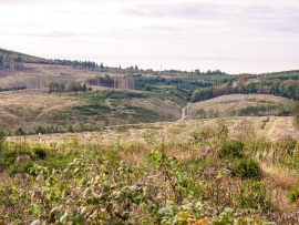 Sauerland-3