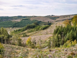 Sauerland-4