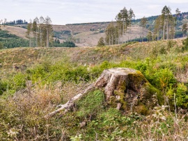 Sauerland-5