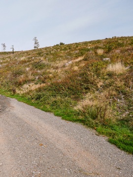 Sauerland-6