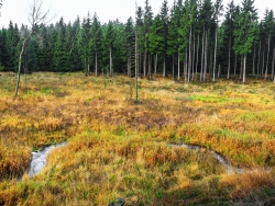 Steppenlandschaft