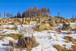 Gebbertsberg_C_1.jpg