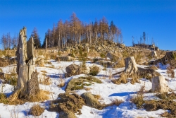 Gebbertsberg_C_2.jpg