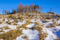 Gebbertsberg_C_3.jpg