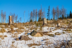 Gebbertsberg_C_4.jpg