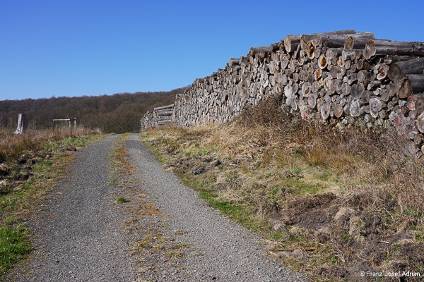 Kaeferholz-unverkaeuflich-1