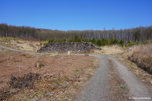 Kaeferholz-unverkaeuflich-4