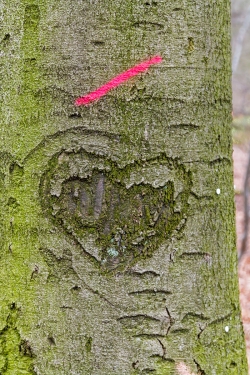 Herz, Buchstaben vielleicht ein U und ein V