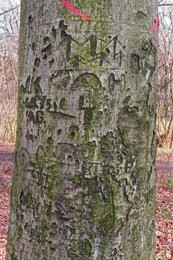 3 Pfeile, A. H., N. K., 1935, A. G.,
