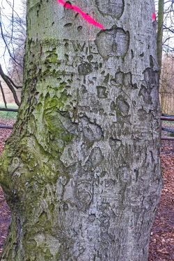 W. L., Herzchen