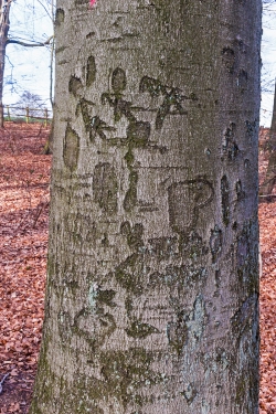 3 Pfeile, P, Herzchen