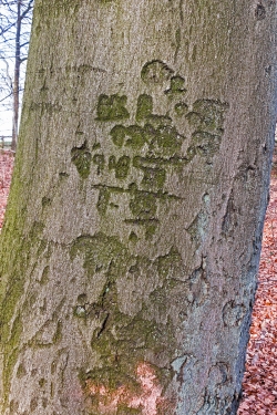 1945, Herzchen