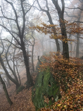 Habichtswand_02