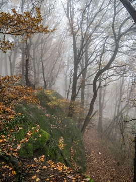 Habichtswand_03