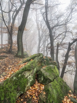 Habichtswand_04