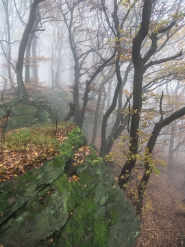 Habichtswand_06