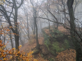 Habichtswand_08