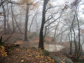 Habichtswand_11