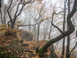Habichtswand_12