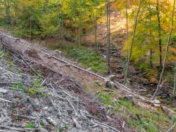 "Natürliche Wald- und Wasserlebensräume - das ist das Ziel dieses Projektes."