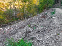 "Naturschutz findet nicht nur "der Natur zu Liebe" statt."