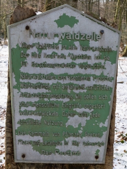 Verwahrlostes Hinweisschild im Hiesfelder Wald
