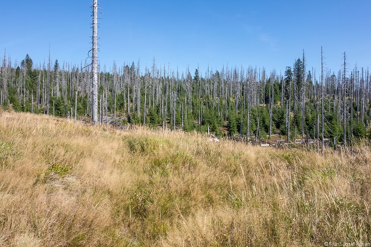 Sumava_01