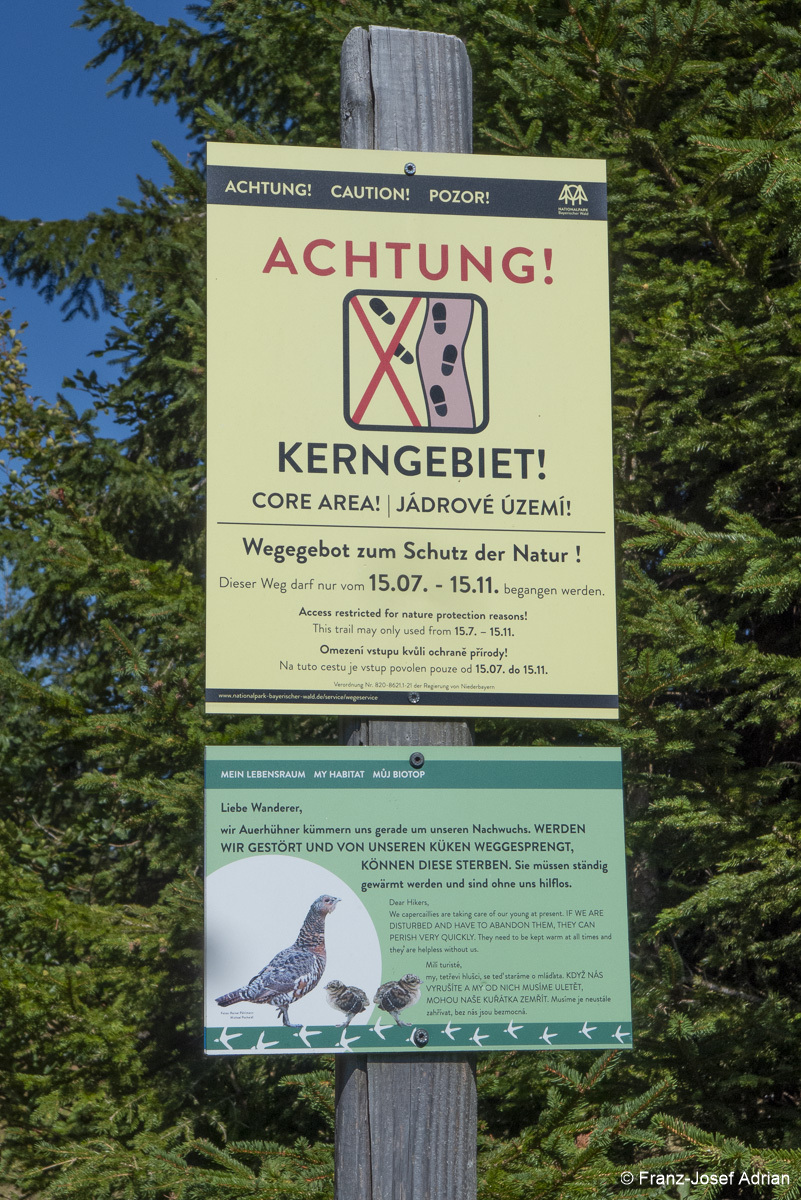 NLP_BW_Hirschgespreng-14