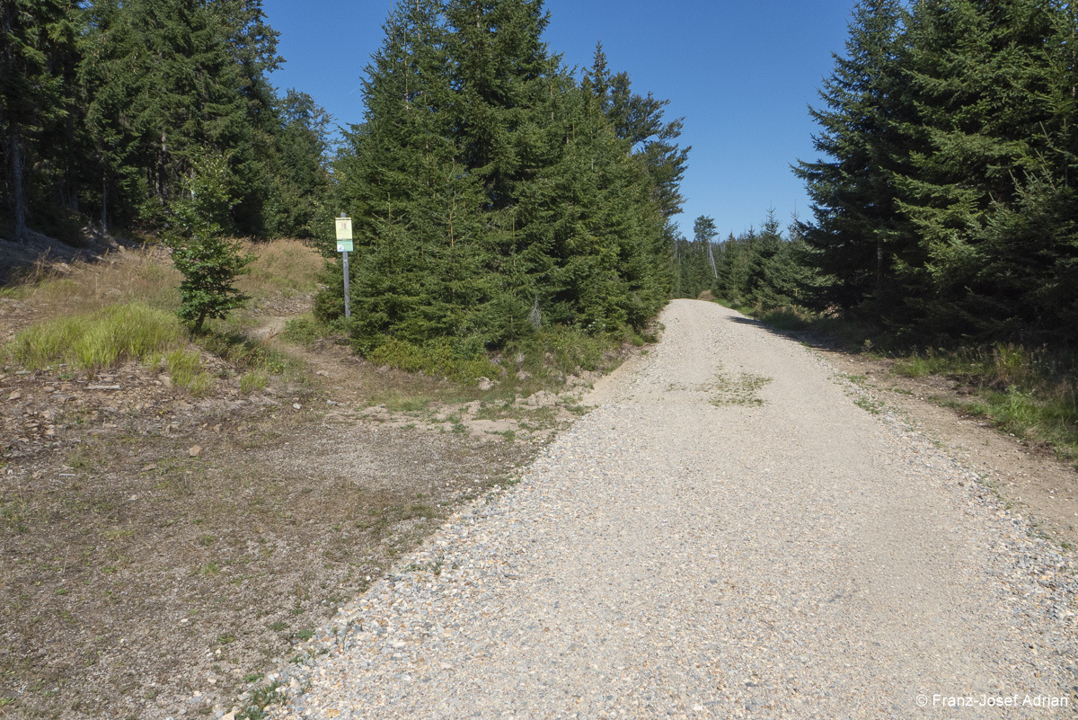 NLP_BW_Hirschgespreng-15