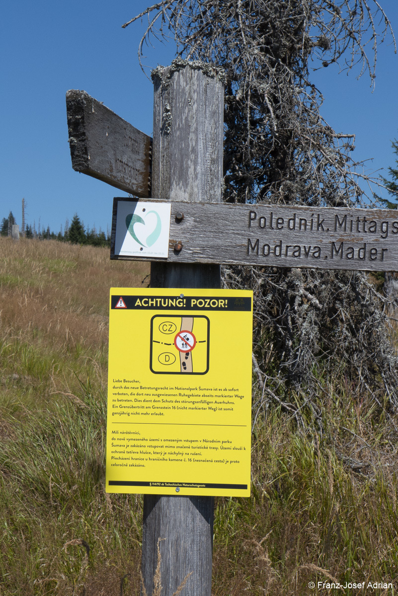 NLP_BW_Hirschgespreng-17