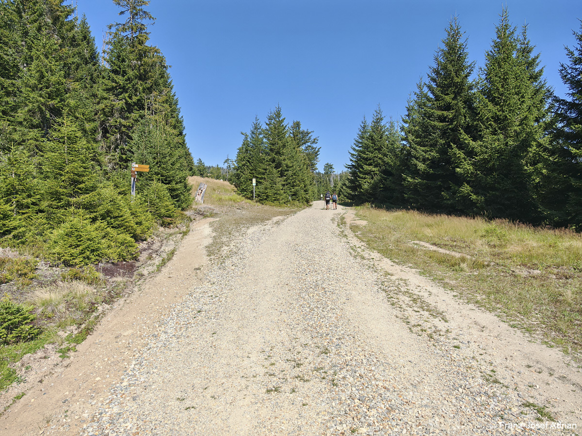 NLP_BW_Hirschgespreng-46