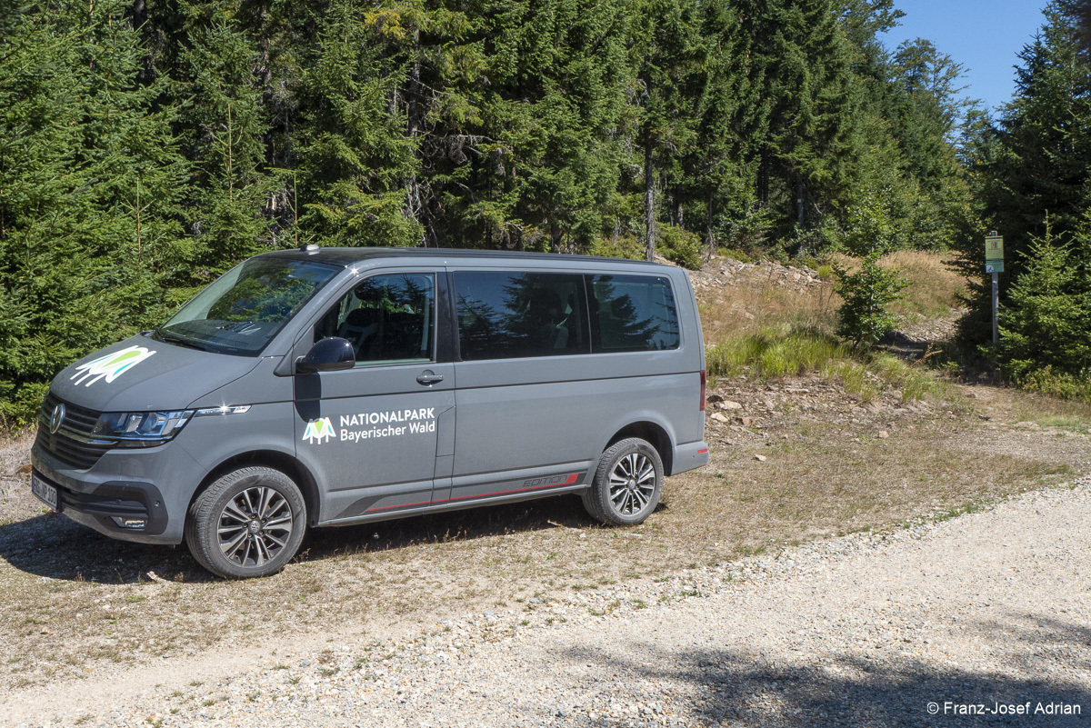 NLP_BW_Hirschgespreng-8