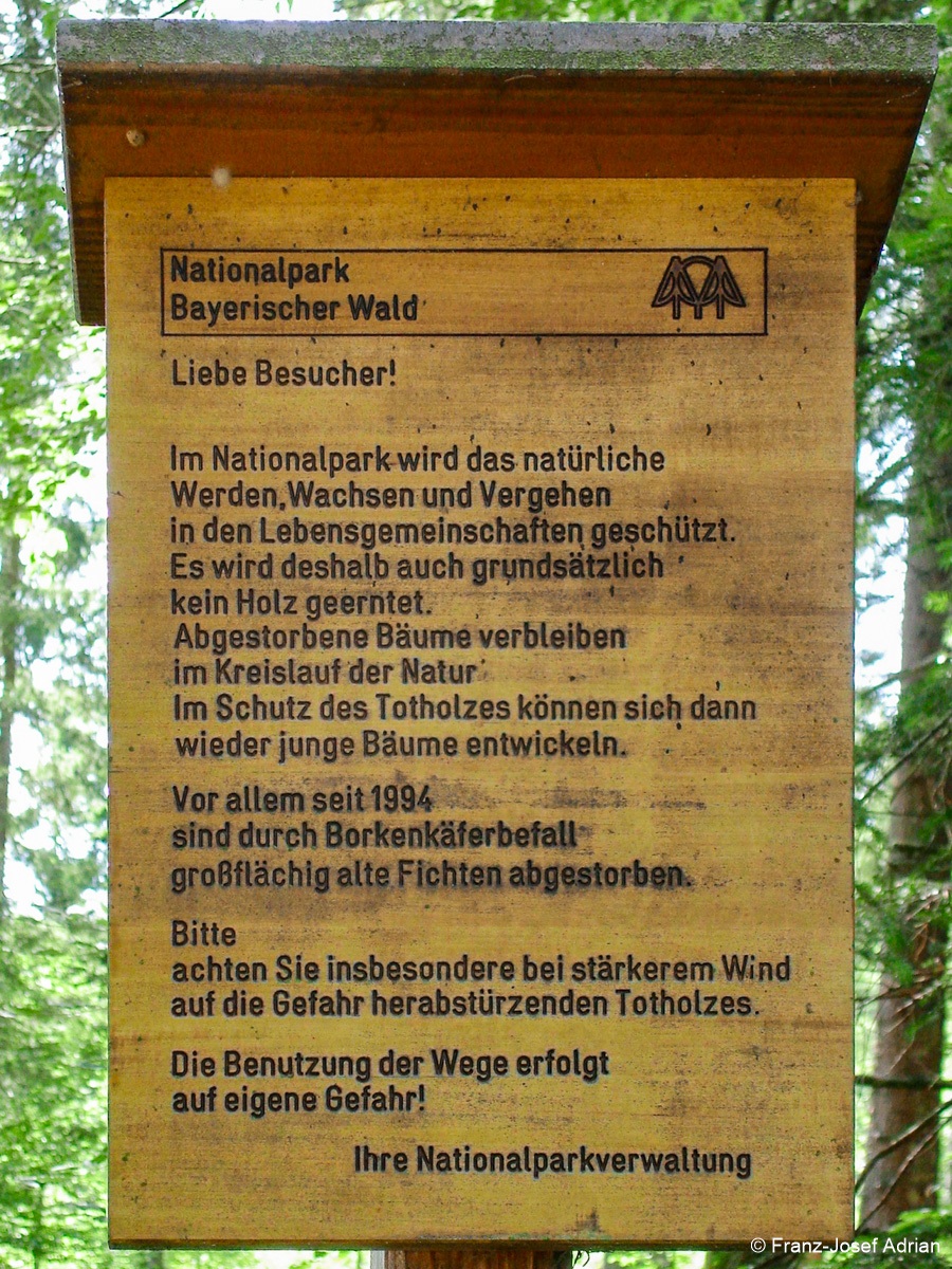 Hochschachten_Nationalpark-1