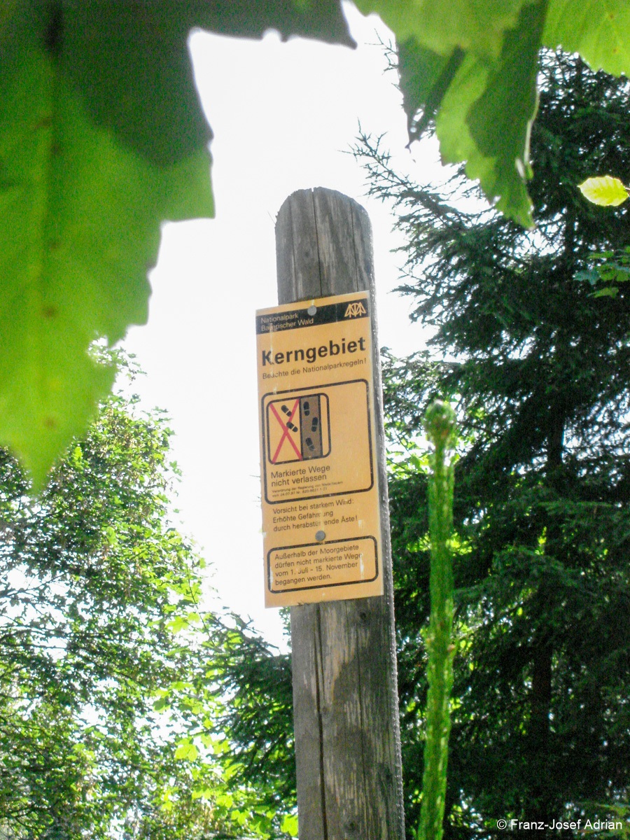 Hochschachten_Nationalpark-2