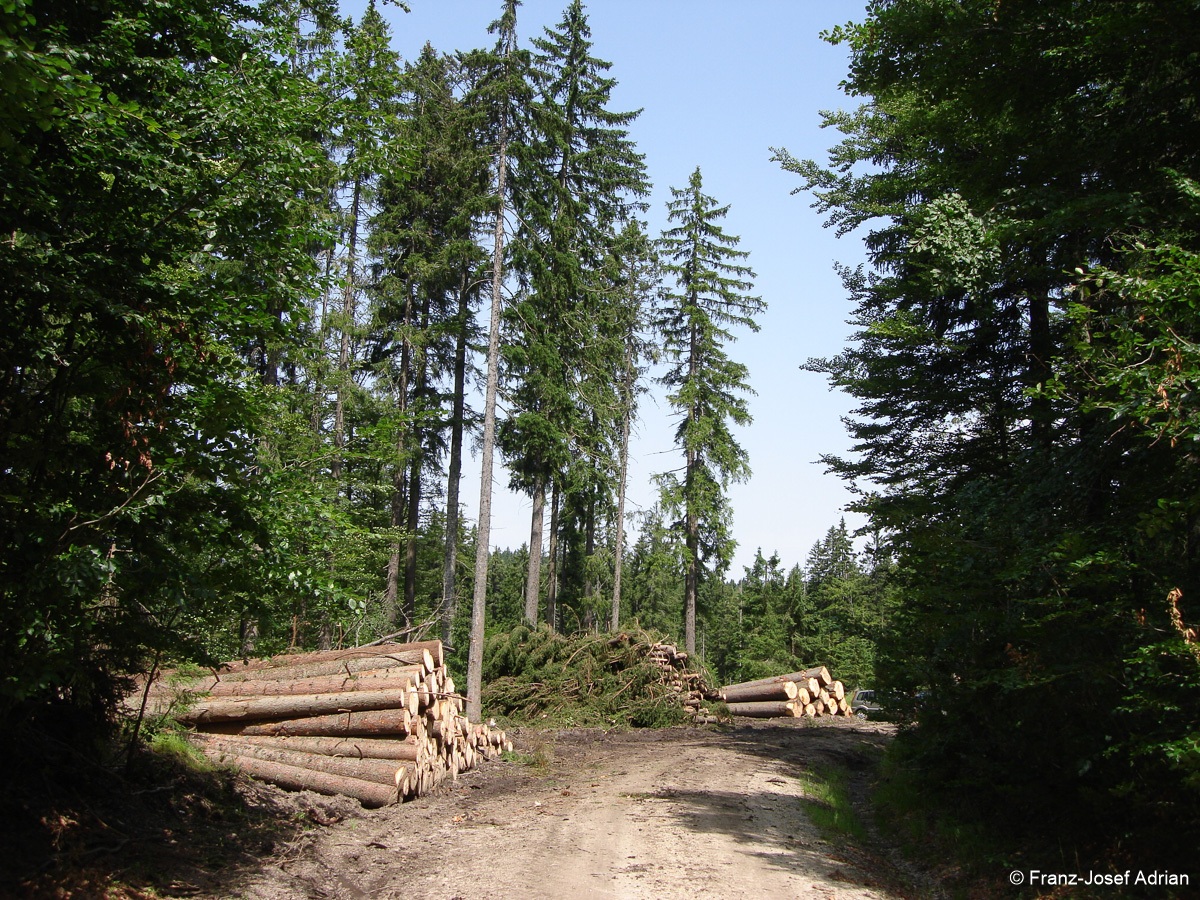 Hochschachten_Nationalpark-3
