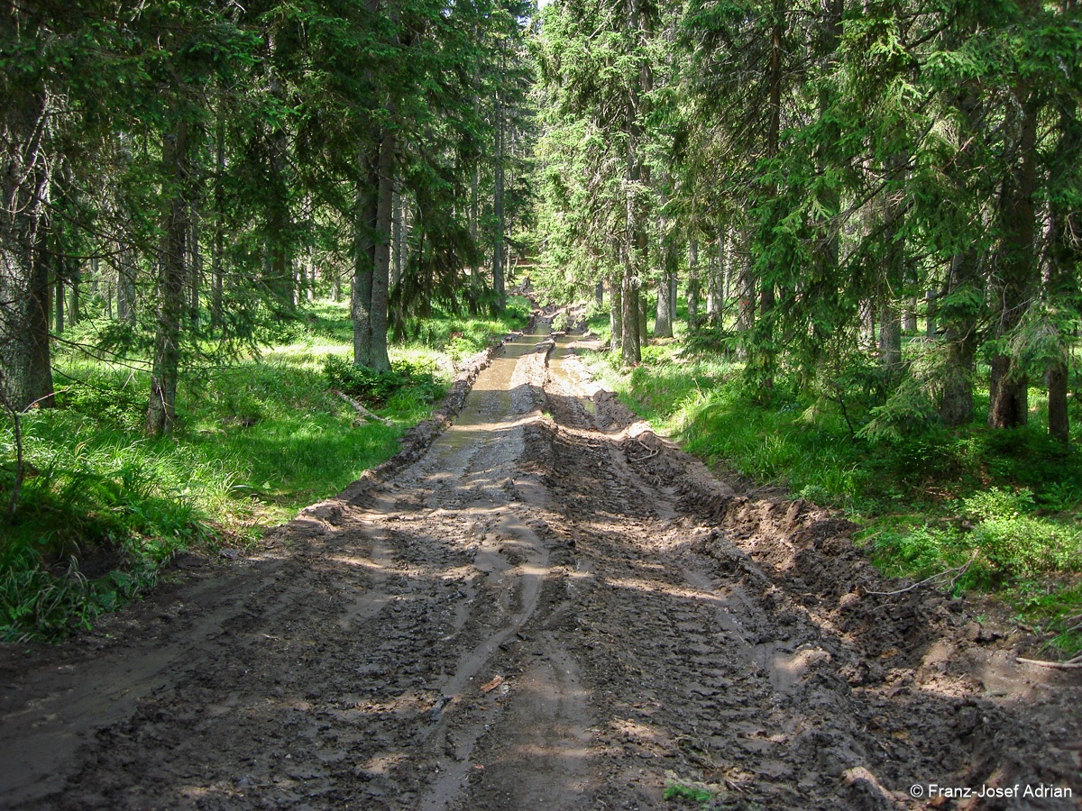 Hochschachten_Nationalpark-8