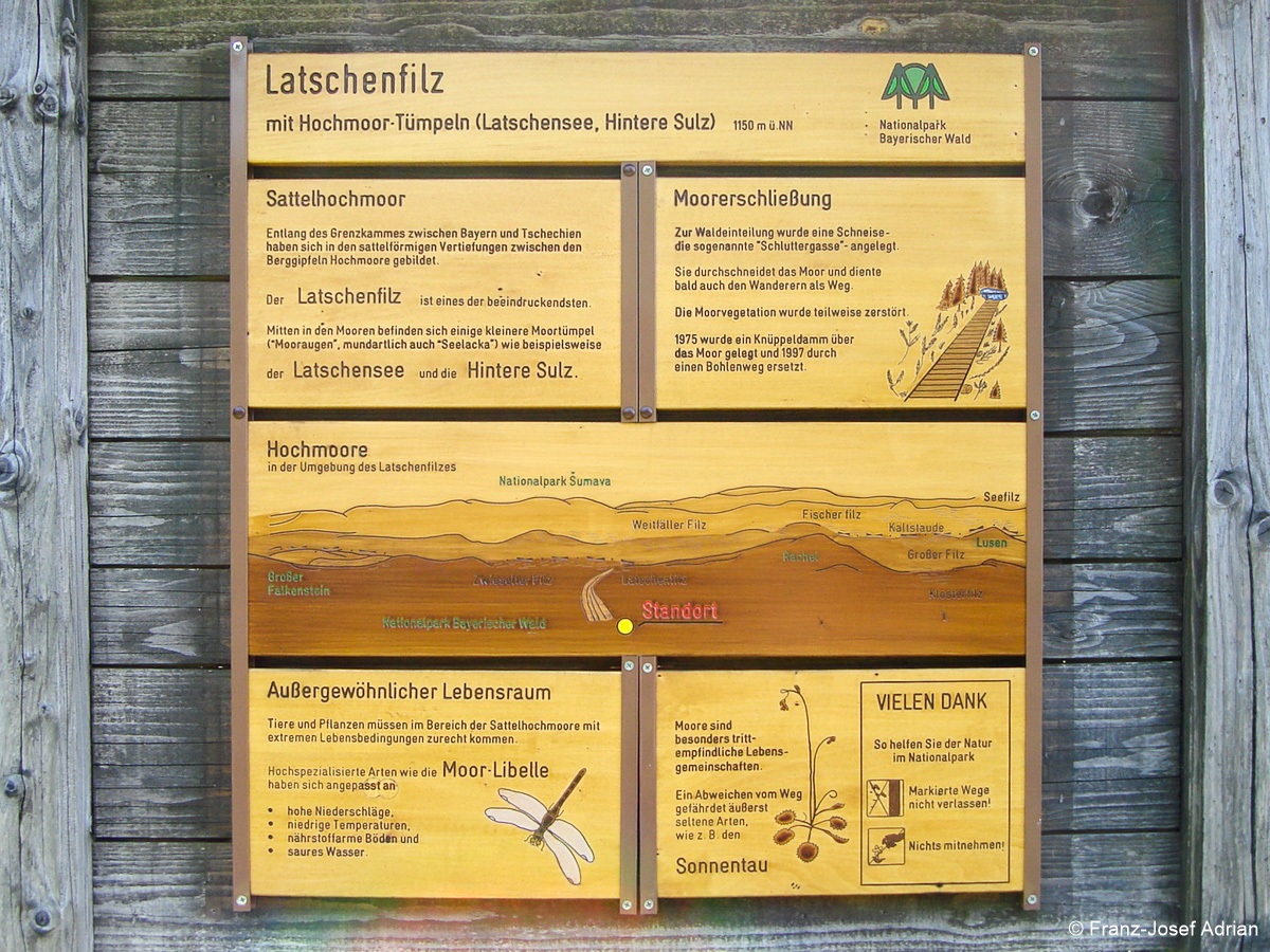 Hochschachten_Nationalpark-9